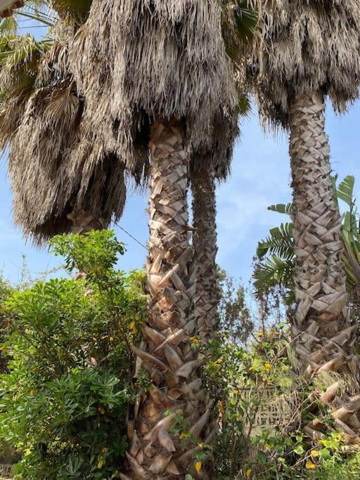 Mareny de San Lorenzo Casa De Campo En Playa Dosel 2 מראה חיצוני תמונה